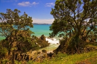 Matauri_Bay_Coast;Northland;sand_dunes;sandy_beaches;bachs;holiday_homes;bush;na