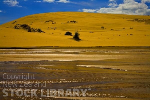 Ninety Mile Beach;Northland;cumulus cloud;golden sands;sandy beaches;sand dunes;sea fishing;sea;Tasman sea;bluffs;cliffs;Te Paki Stream