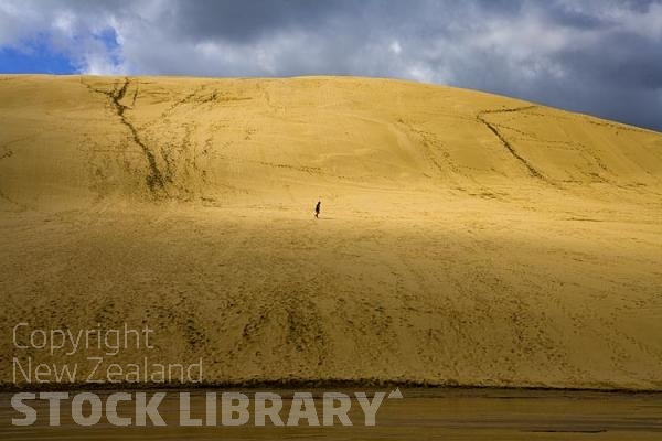 Ninety Mile Beach;Northland;cumulus cloud;golden sands;sandy beaches;sand dunes;sea fishing;sea;Tasman sea;bluffs;cliffs;Te Paki Stream;person