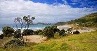 Whangarei;Northland;Ocean_Beach;golden_sands;blue_sky;blue_sea;sand_dunes;Pacifi