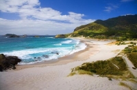 Whangarei;Northland;Ocean_Beach;golden_sands;blue_sky;blue_sea;sand_dunes;Pacifi