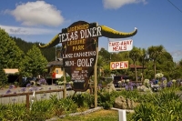 Kaeo;Northland;Kaeos_Texas_Diner;Texas_Diner;Texas;Diner;bush;native_forrest;sig