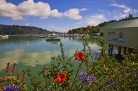 Whangaroa_Harbour;Northland;blue_sea;Pohutakawa_trees;boats_boating;fishing;fish