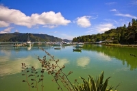 Whangaroa_Harbour;Northland;bachs;holiday_homes;bush;native_forrest;blue_sky;blu