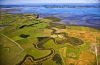 Aerial;Kaipara_Harbour;Rodney;green_fields;paddocks;Tasman_Sea;blue_sky;blue_sea