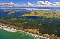 Aerial_Kaipara_Harbour;Rodney;green_fields;paddocks;Tasman_Sea;blue_sky;blue_sea