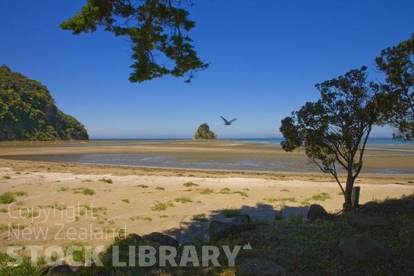 Waiwera;Rodney;East Coast;sandy beaches;rocky shorelines;River;Rivers;bush;native forrest;golden sands;landscape;Waiwera;Beach