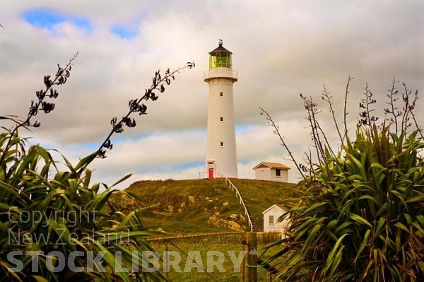 Cape Egmont Region;Cape Egmont;River;Rivers;bush;native forrest;landscape;Lighthouse;flax