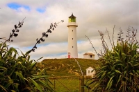 Cape_Egmont_Region;Cape_Egmont;River;Rivers;bush;native_forrest;landscape;Lighth