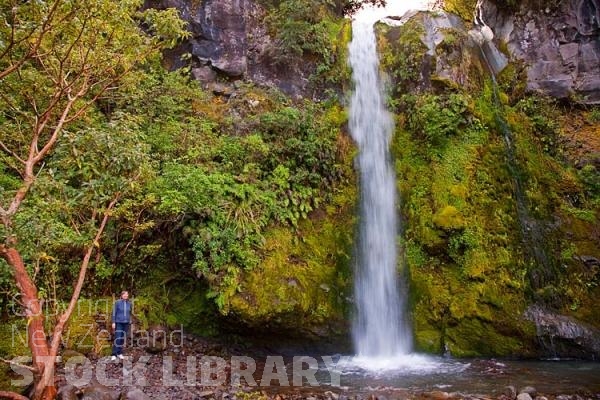 Dawson Falls;Taranaki;Mount Taranaki;Mount Egmont;River;Rivers;bush;native forrest;landscape;Clear water;waterfall;water fall