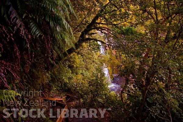 Dawson Falls;Taranaki;Mount Taranaki;Mount Egmont;River;Rivers;bush;native forrest;landscape;Clear water;waterfall;water fall;Steps Down;Falls