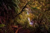 Dawson_Falls;Taranaki;Mount_Taranaki;Mount_Egmont;River;Rivers;bush;native_forre