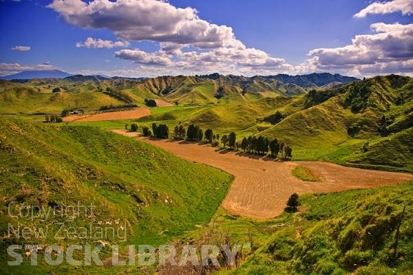 Forgotten World Highway;Taranaki;Mount Taranaki;Mount Egmont;River;Rivers;bush;native forrest;landscape;Strathmore Saddle;steep country;arable farming;cumulus clouds;sheep country