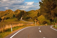 Forgotten_World_Highway;Taranaki;Mount_Taranaki;Mount_Egmont;River;Rivers;bush;n