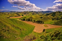 Forgotten_World_Highway;Taranaki;Mount_Taranaki;Mount_Egmont;River;Rivers;bush;n