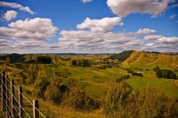 Forgotten_World_Highway;Taranaki;Mount_Taranaki;Mount_Egmont;River;Rivers;bush;n