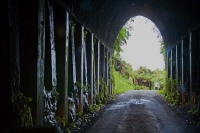 Forgotten_World_Highway;Taranaki;Mount_Taranaki;Mount_Egmont;River;Rivers;bush;n