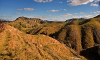 Forgotten_World_Highway;Taranaki;Mount_Taranaki;Mount_Egmont;River;Rivers;bush;n