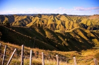 Forgotten_World_Highway;Taranaki;Mount_Taranaki;Mount_Egmont;River;Rivers;bush;n