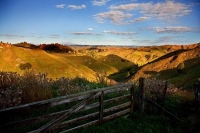 Forgotten_World_Highway;Taranaki;Mount_Taranaki;Mount_Egmont;River;Rivers;bush;n