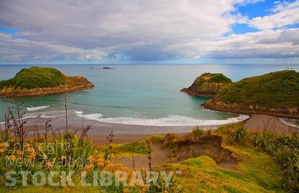 New Plymouth;Taranaki;Sugar Loaf Islands Marine Reserve;Clear water;Sugar Loaf Islands;Marine Reserve;flax