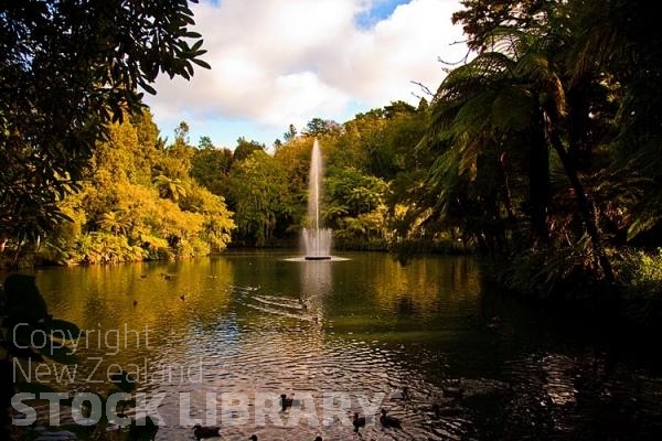 New Plymouth;Taranaki;golden light;Pukekura Park Fountain;Pukekura Park;Fountain;late light;palms;ponga;punga