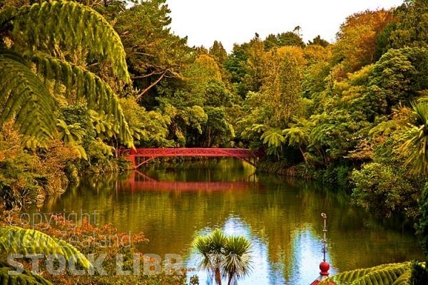 New Plymouth;Taranaki;Pukekura Park Bridge;Pukekura Park;red Bridge;palms;ponga;punga;pungas;cabbage trees;District Council landscaping;District Council;landscaping