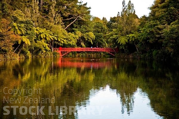 New Plymouth;Taranaki;District Council landscaping;District Council;landscaping;District Council;landscaping;Pukekura Park Bridge;Pukekura Park;Red Bridge;palms;ponga;punga;pungas;tree ferns