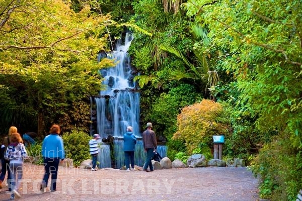 New Plymouth;Taranaki;Pukekura Park Waterfall;Pukekura Park;Waterfall;palms;pedestrians;District Council landscaping;landscaping