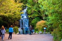 New_Plymouth;Taranaki;Pukekura_Park_Waterfall;Pukekura_Park;Waterfall;palms;pede