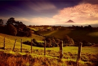 Taranaki;Mount_Taranaki;paddocks;green_paddocks