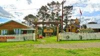 Norsewood;Tararua;sculptures;church;neo_classical_buildings;green_fields;paddock