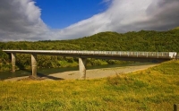 Woodville;Tararua;green_fields;green_paddocks;Wind_farm;wind_farms;Wind_generate