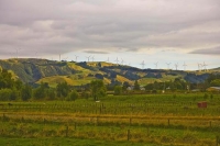 Woodville;Tararua;green_fields;green_paddocks;Wind_farm;wind_farms;Wind_generate