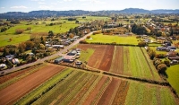 Aerial;Te_Kawhai;Waikato;market_gardening;vegetable_growing;cultivation;vegetabl