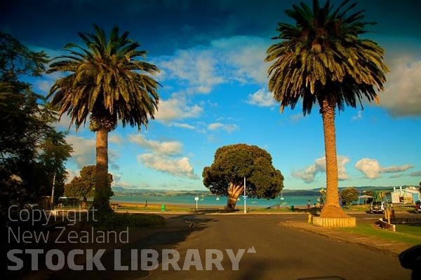 Kawhia;Waikato;coastal;bachs;holiday homes;bush;native forrest;blue sky;blue sea;boating;Fishing boats;Beach front trees;Beach front;trees;palm trees;palms