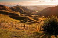 Kawhia;Waikato;coastal;bachs;holiday_homes;bush;native_forrest;blue_sky;blue_sea