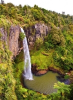 Raglan;Waikato;bush;native_forrest;Hill_country;green_fields;green_paddocks;wate