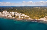 Aerial;West_Coast_Waikato;Waikato;coastal;bachs;holiday_homes;bush;native_forres