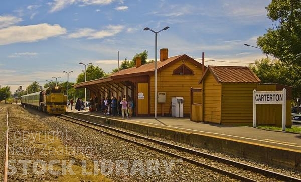 Carterton;Wairarapa;native forest;sheep;sheep shearing;Tararua Ranges;agricultural centre;agriculture;tramping tracks;green fields;Station;Rail line;New Zealand photography;train