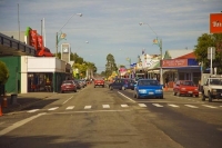 Carterton;Wairarapa;native_forest;sheep;sheep_shearing;Tararua_Ranges;agricultur