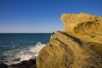 Castle_Point;Wairarapa;Blue_sea;blue_sky;cumulus_clouds;rocky_shorelines;sandy_b