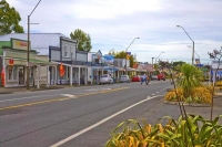 Featherston;Wairarapa;Rimutaka;Rimutaka_Hill;Fell_Locomotive_Museum;native_fores