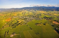 Aerial;Greytown;Wairarapa;native_forest;sheep;sheep_shearing;Tararua_Ranges;agri