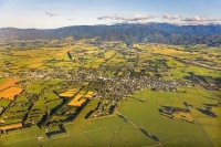 Aerial;Greytown;Wairarapa;native_forest;sheep;sheep_shearing;Tararua_Ranges;agri