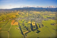 Aerial;Greytown;Wairarapa;native_forest;sheep;sheep_shearing;Tararua_Ranges;agri