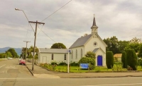 Greytown;Wairarapa;Antiques;native_forest;sheep;sheep_shearing;Tararua_Ranges;ag