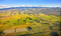 Aerial;Masterton;Wairarapa;native_forest;Scenic_flights;Aircraft_museum;airfield