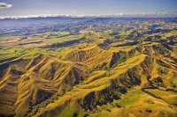 Aerial;Masterton;Wairarapa;native_forest;Scenic_flights;Aircraft_museum;airfield