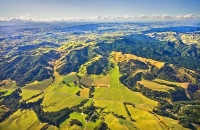 Aerial;Masterton;Wairarapa;native_forest;Scenic_flights;Aircraft_museum;airfield